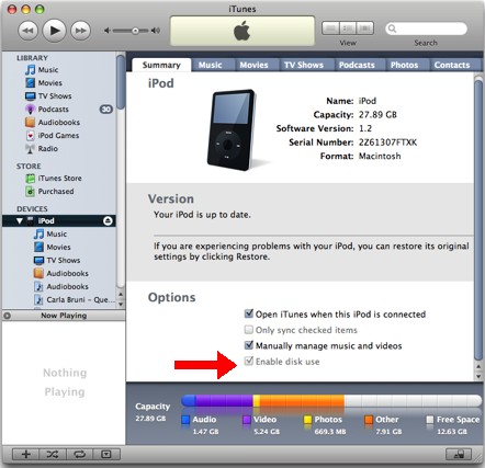 Make Your iPod Double As A Storage Drive